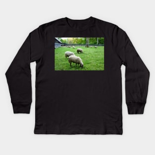 Sheep grazing in Lausanne, Switzerland Kids Long Sleeve T-Shirt